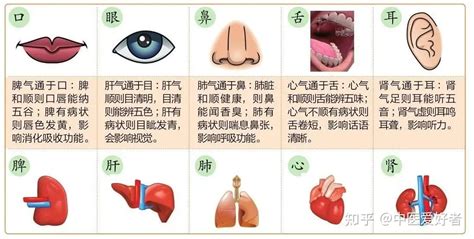 五官五行 紀名字意思